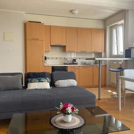 Apartment Specious In Down With View Lausanne